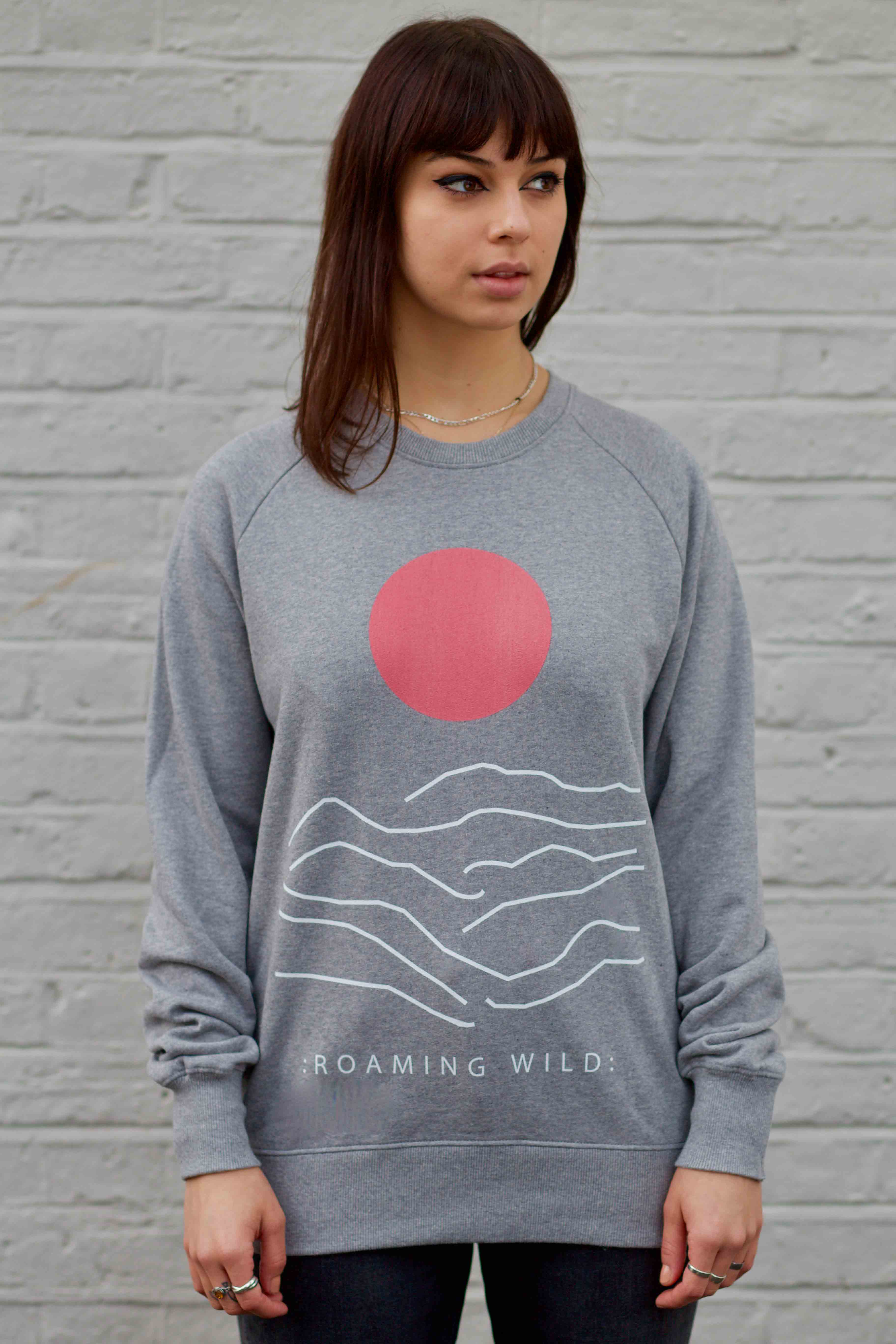 Sun Over Mountain - try wild