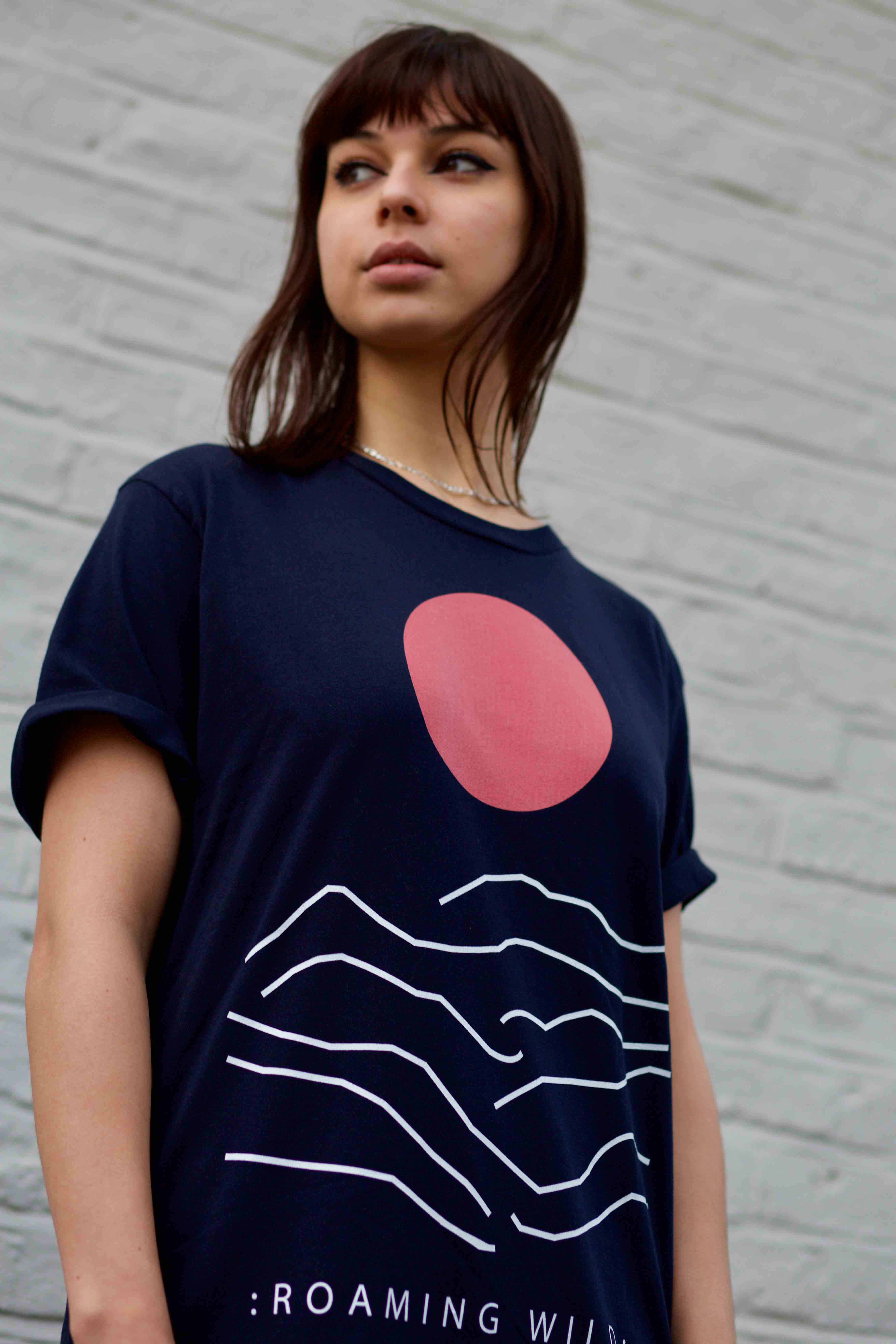 Sun Over Mountain - try wild