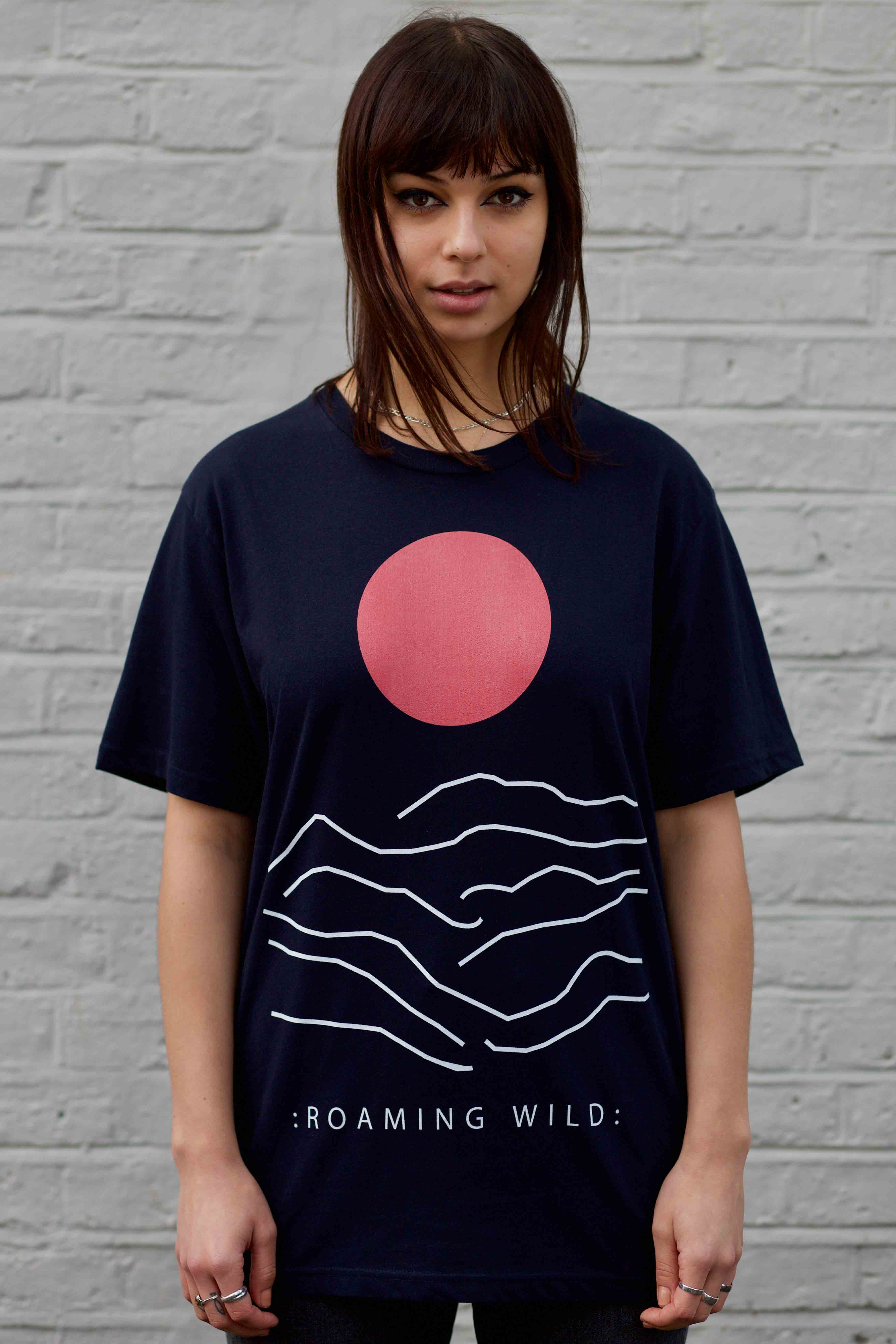 Sun Over Mountain - try wild