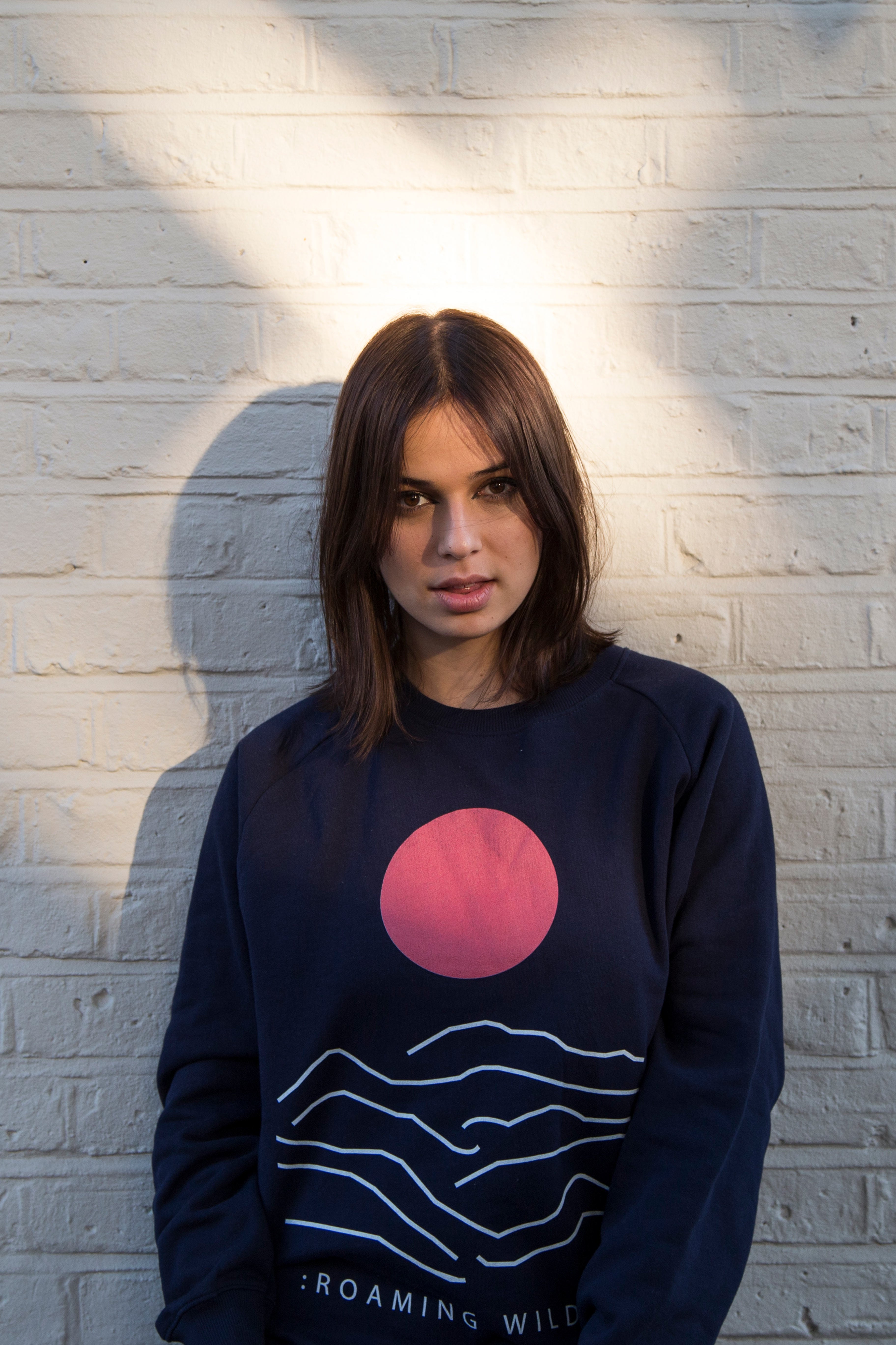 Sun Over Mountain - try wild